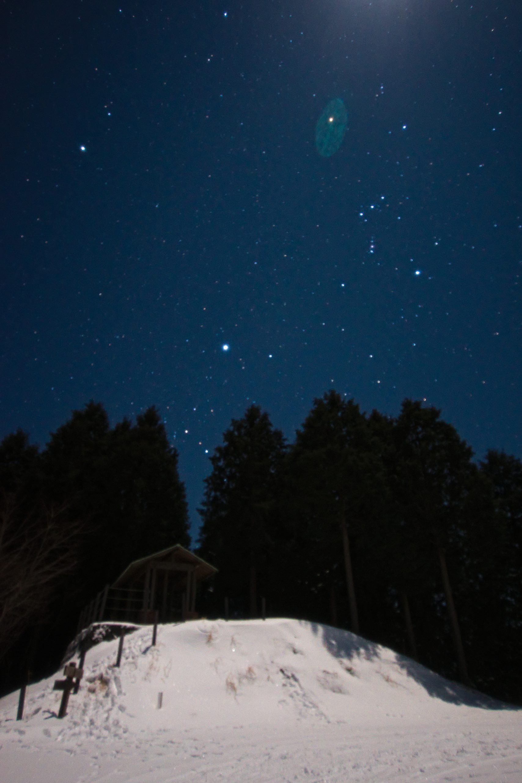 雪の鶴姫公園から月に照らされるオリオン座