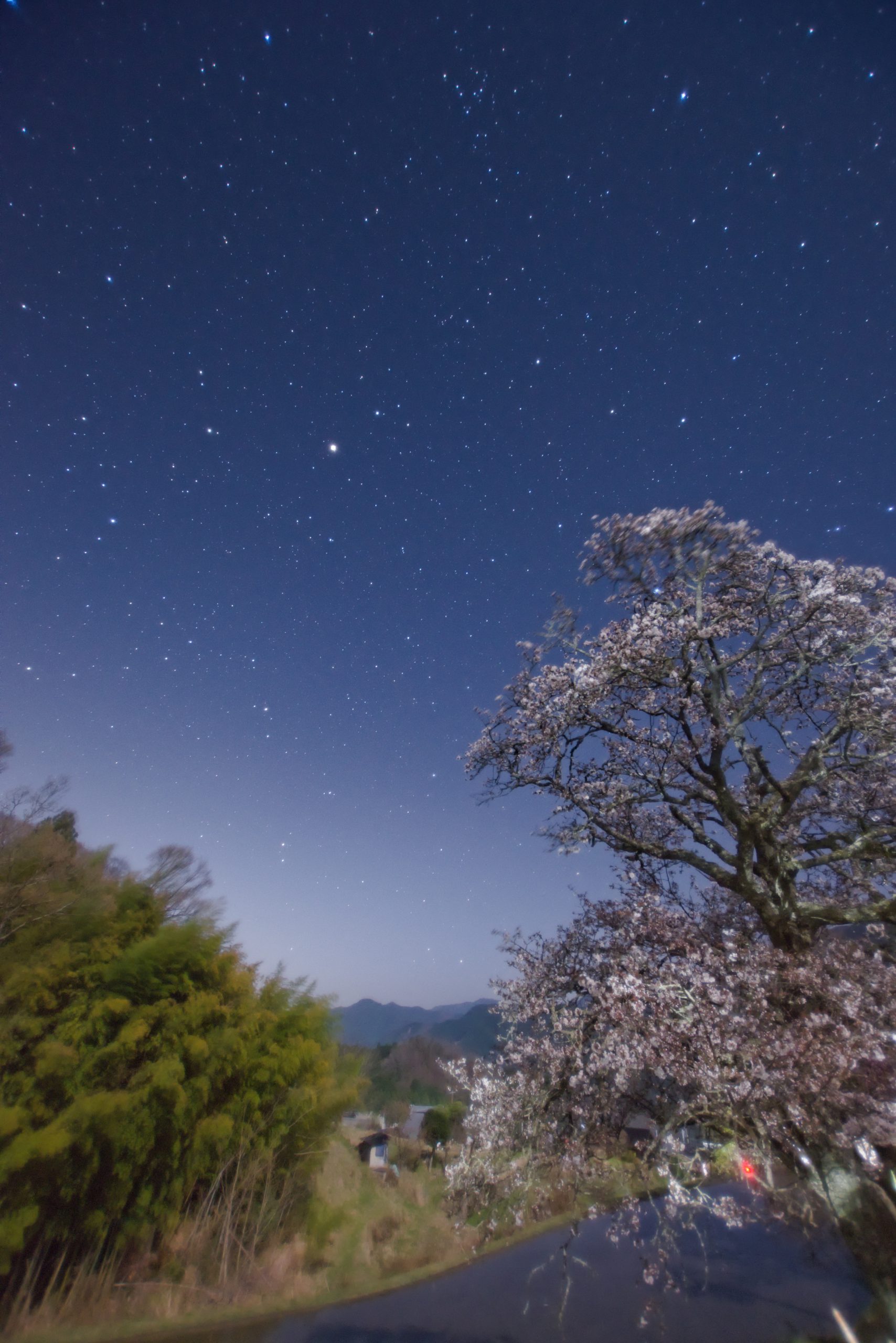 桜と棚田と春の星たち（アルクトゥルスとデネボラ）
