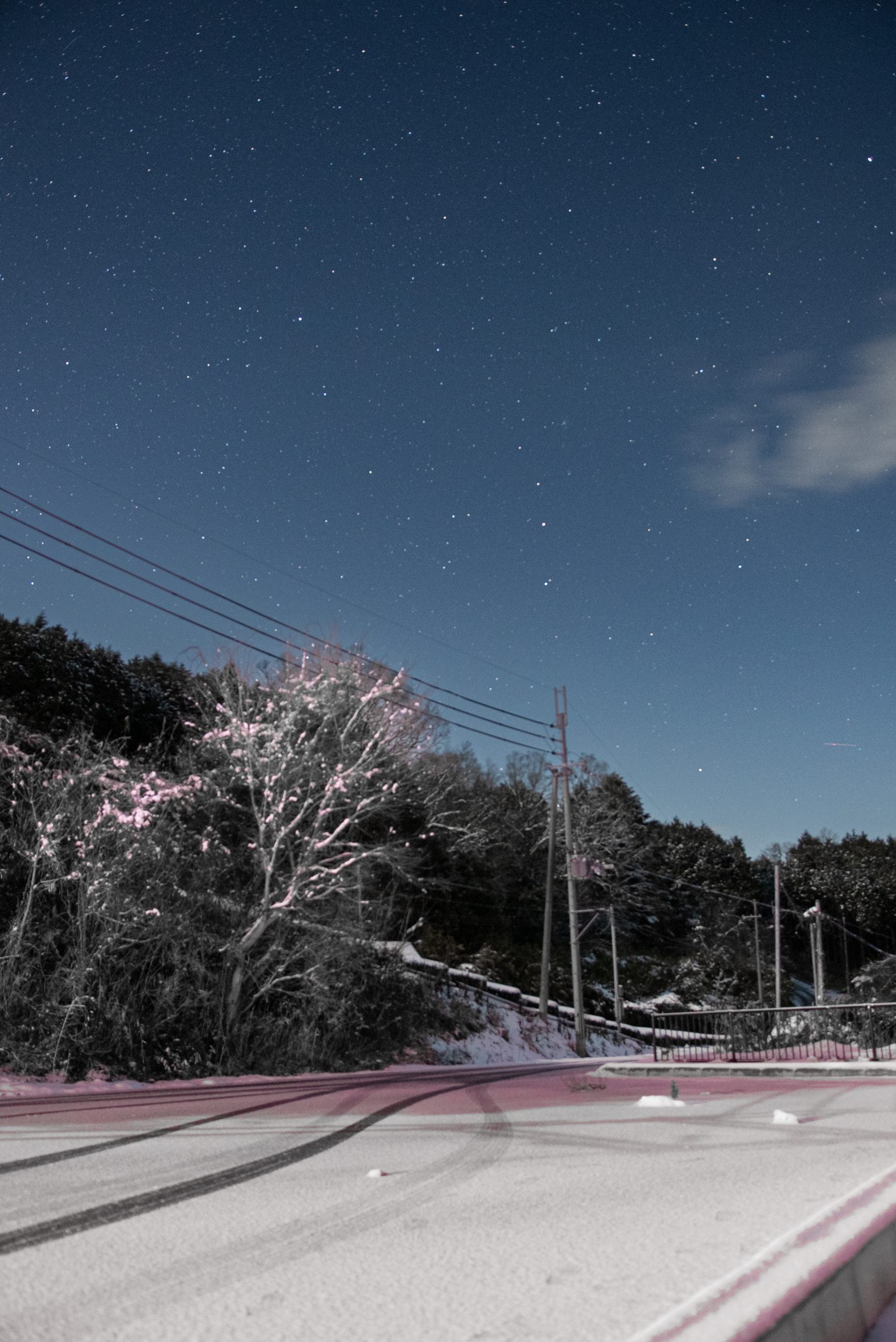 神野山駐車場からこぐま座とZTF彗星を望む