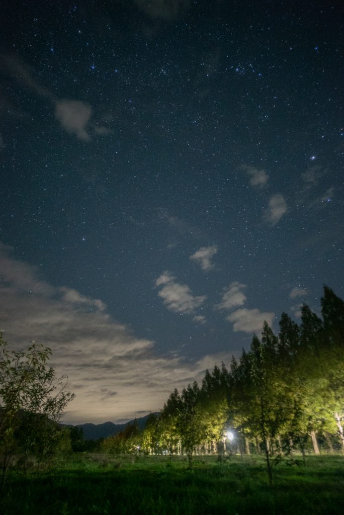マキノ高原メタセコイア並木と秋の星座たち
